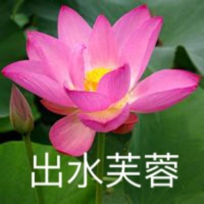 沙场先锋果盘手游下载